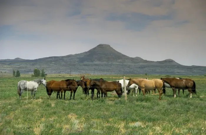 Framed Print : Arapaho traditional homelands in Wyoming with a heard of horses in the foreground