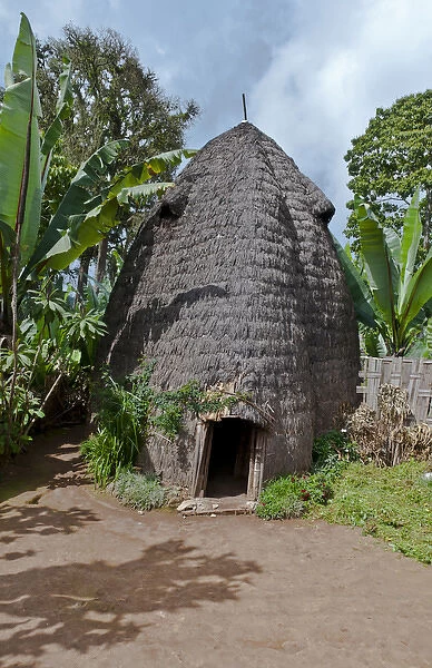 Arba Minch Chencha Ethiopia Africa Dorze tribe village elephant type home in village