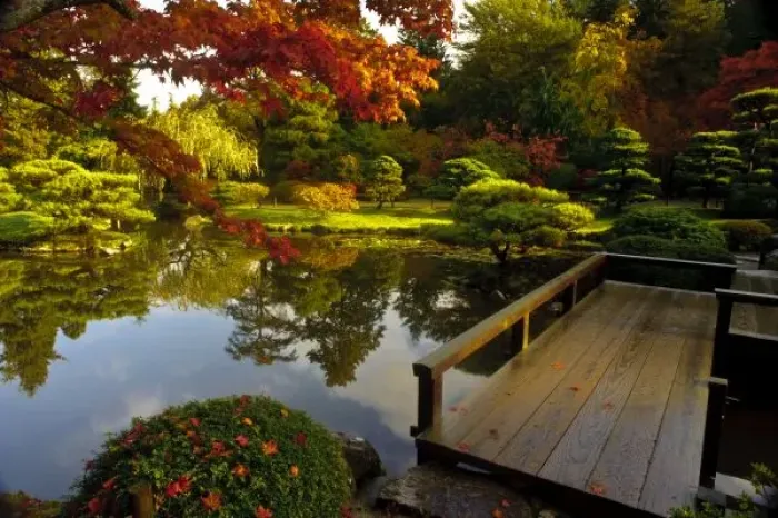 Framed Print : Arboretum, Japanese Garden, Seattle, Washington, USA
