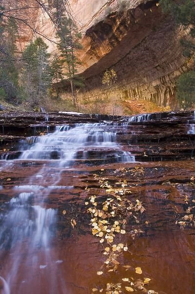 Archangel cascades in the Left Fork of the Virgin River in Zion National Park in