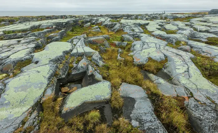 Framed Print : Arctic tundra glacial boulder formation details in early autumn in Northern Manitoba