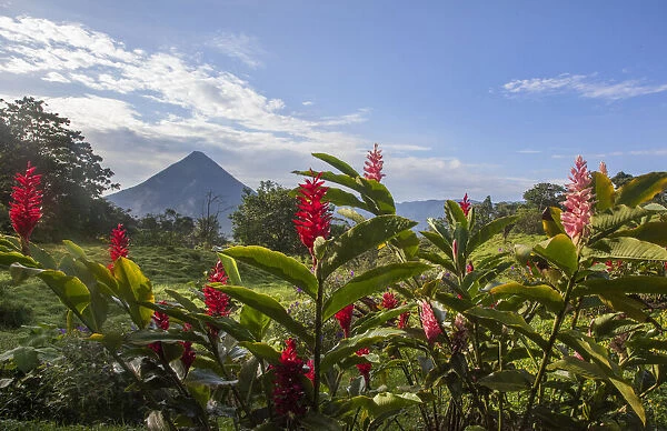 Arenal Volcano in Costa Rica with tropical flowers
