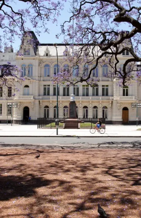 Framed Print : Argentina, Buenos Aires, Barrio Norte, Rodriguez Pena, Jacarandas trees bloom in Framed Print : Argentina, Buenos Aires, Barrio Norte, Rodriguez Pena, Jacarandas trees bloom in