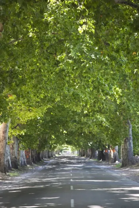 Framed Print : ARGENTINA, Mendoza Province, Lujan de Cuyo. Wine country road