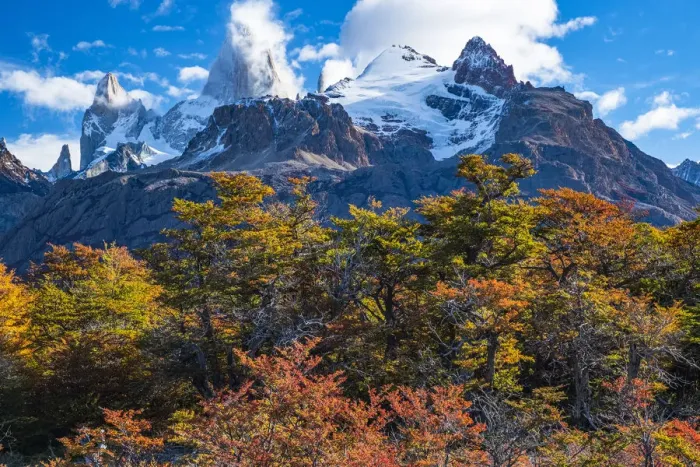 Framed Print : Argentina, Patagonia, El Chalten Fitz Roy Framed Print : Argentina, Patagonia, El Chalten Fitz Roy