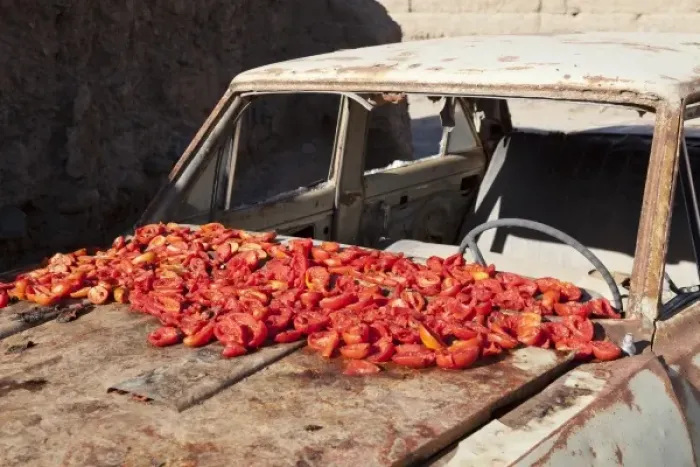 Framed Print : Argentina, Salta, Cafayate, how to dry tomatoes