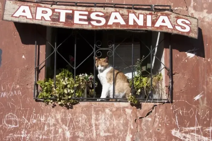 Framed Print : Argentina, Salta, Iruya, cat at a window Framed Print : Argentina, Salta, Iruya, cat at a window