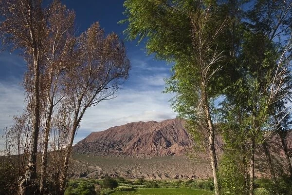 Argentina, Salta Province. Landscape by Rt. 40