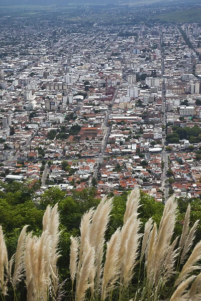 ARGENTINA, Salta Province, Salta. View from Cerro San Bernardo, daytime