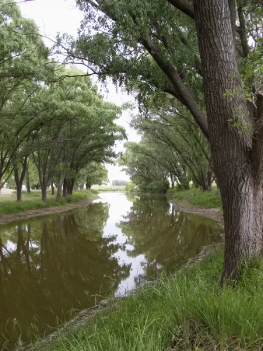 Framed Print : Argentina: shaded river in the Pampa region