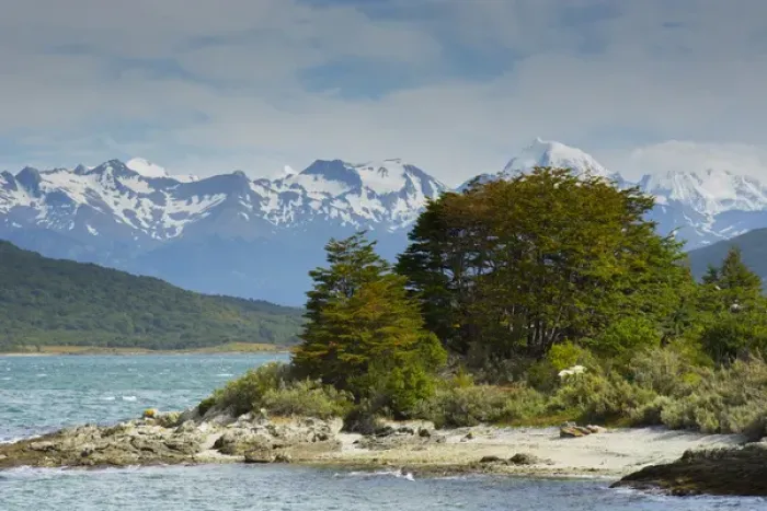 Framed Print : Argentina. Tierra del Fuego. Tierra del Fuego National Park. The coastal trail Framed Print : Argentina. Tierra del Fuego. Tierra del Fuego National Park. The coastal trail