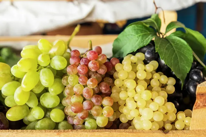 Framed Print : Armenia, Yerevan. Farmer's market. Grapes Framed Print : Armenia, Yerevan. Farmer's market. Grapes