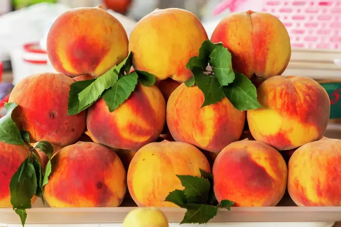 Framed Print : Armenia, Yerevan. Farmer's market. Peaches Framed Print : Armenia, Yerevan. Farmer's market. Peaches