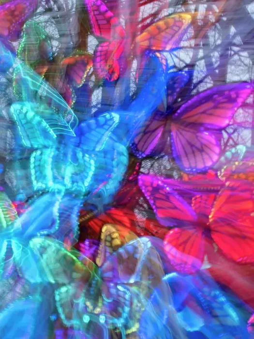 Framed Print : Arrangement of colorful artificial butterflies Framed Print : Arrangement of colorful artificial butterflies