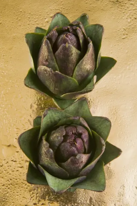 Framed Print : Two Artichokes