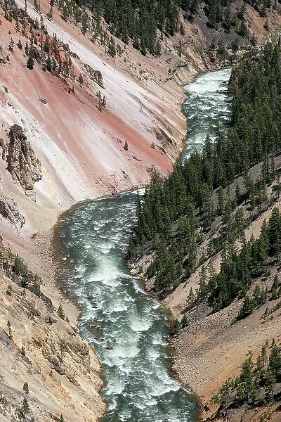 Artist Point, Grand Canyon of the Yellowstone, Yellowstone National Park, Wyoming, USA