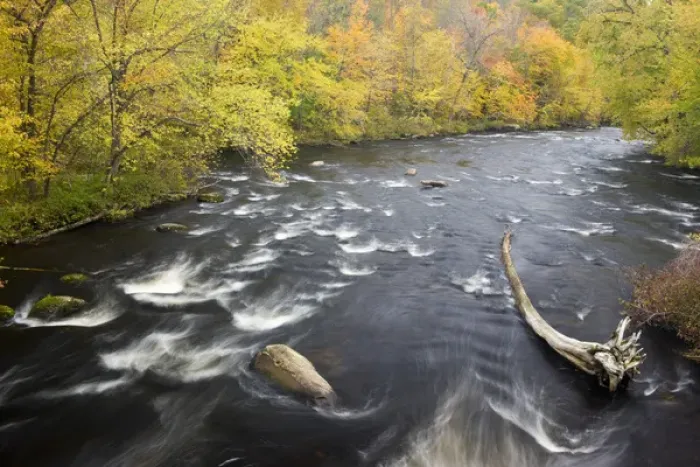 Framed Print : The Ashuelot River in Ashuelot, New Hampshire. Fall Framed Print : The Ashuelot River in Ashuelot, New Hampshire. Fall