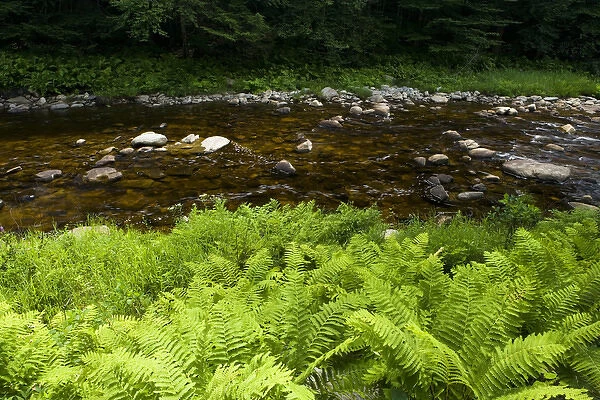 The Ashuelot River in Surry, New Hampshire. Connecticut River tributary