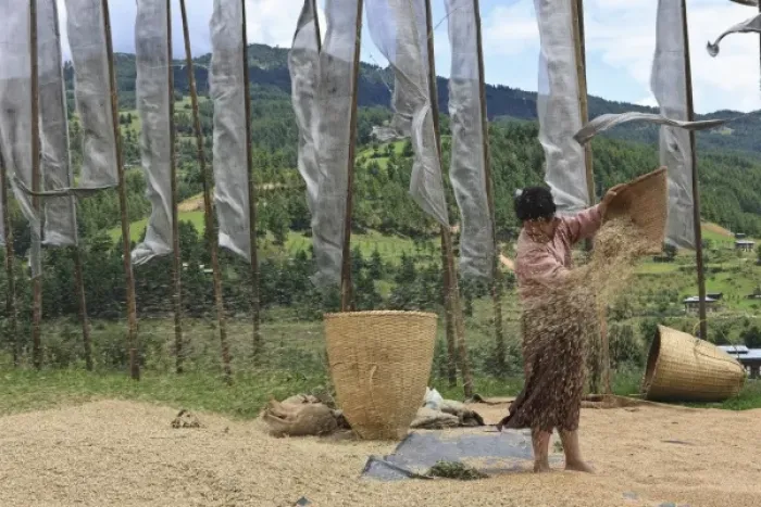 Framed Print : Asia, Bhutan