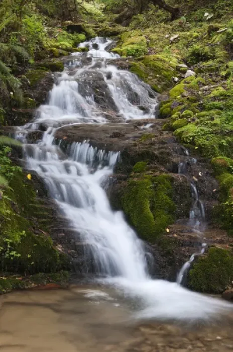 Framed Print : Asia, Bhutan. Waterfall in central Bhutan Framed Print : Asia, Bhutan. Waterfall in central Bhutan