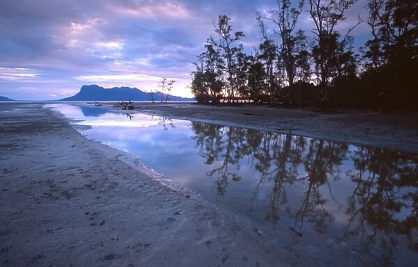 Asia, Borneo, Malaysia, Sarawak, Bako National Park, mangrove forest and beach sunset