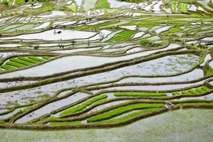 Framed Print : Asia, China