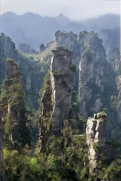 Asia, China, Hunnan Province, Zhangjiajie National Forest Park. Forested sandstone