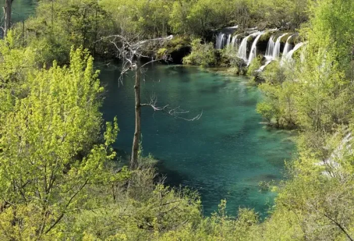 Framed Print : Asia, China, Sichuan Province, Jiuzhaigou National Scenic Area. Clear torquise water Framed Print : Asia, China, Sichuan Province, Jiuzhaigou National Scenic Area. Clear torquise water