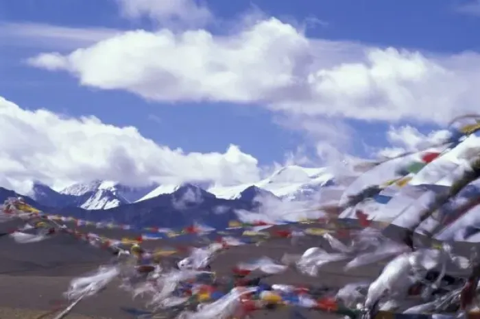 Framed Print : Asia, China, Tibet, Tangla Pass. Prayer flags, the Himalayas behind Framed Print : Asia, China, Tibet, Tangla Pass. Prayer flags, the Himalayas behind