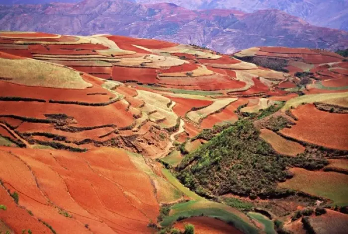 Framed Print : Asia, China, Yunnan, Dongchuan. Terraces of growing wheat & tilled earth on red Framed Print : Asia, China, Yunnan, Dongchuan. Terraces of growing wheat & tilled earth on red
