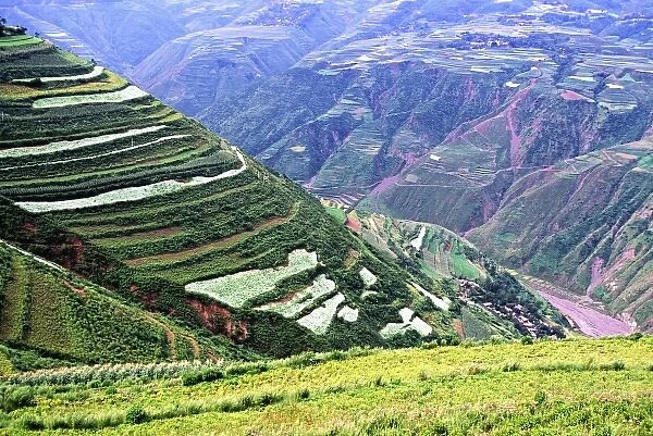 Asia, China, Yunnan, Dongchuan. Green crops cover terraces in canyons of red earth