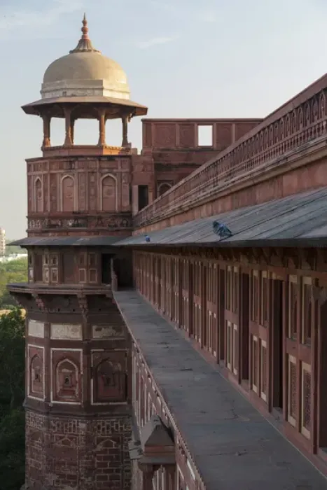 Framed Print : Asia, India. Agra fort. Two pigeons sit on the roofs ledge
