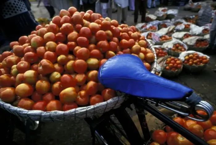 Framed Print : Asia, India, Bangalore. Bike with a basket of tomatoes Framed Print : Asia, India, Bangalore. Bike with a basket of tomatoes