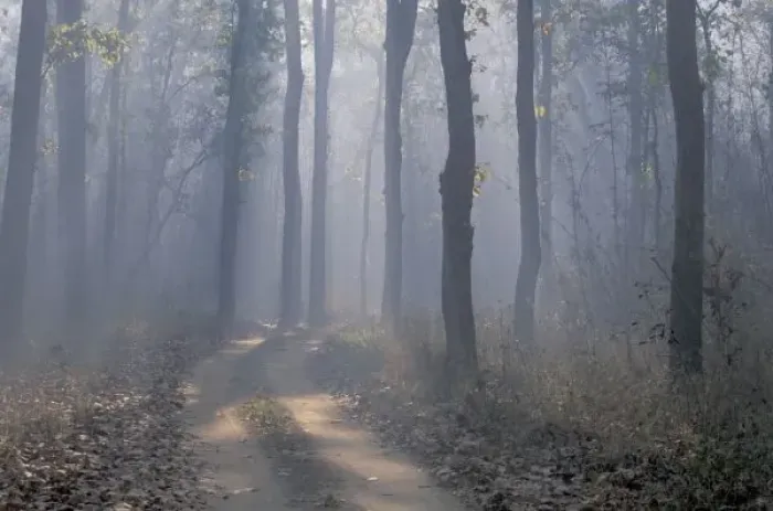 Framed Print : Asia, India, Kanha NP. Landscape Framed Print : Asia, India, Kanha NP. Landscape