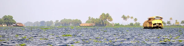 Asia, India, Kerala (Backwaters). Houseboats on the Kerala Backwaters