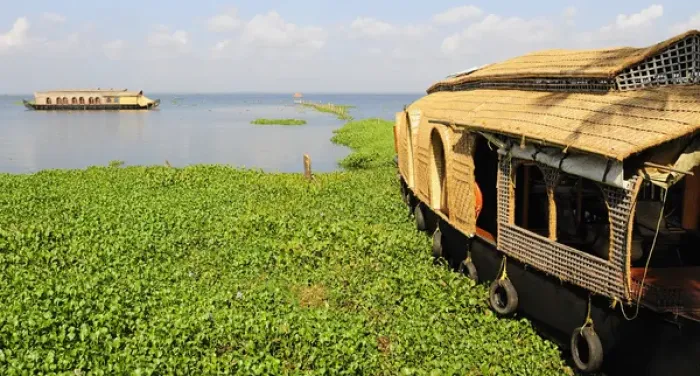 Framed Print : Asia, India, Kerala (Backwaters). Kerala houseboats on Kumarakom Lake