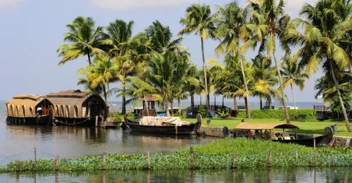 Framed Print : Asia, India, Kerala (Backwaters). Houseboats docked along shore at the Kumarakom Resort Framed Print : Asia, India, Kerala (Backwaters). Houseboats docked along shore at the Kumarakom Resort