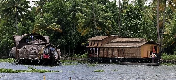 Asia, India, Kerala (Backwaters). Houseboats float along a Kerala Backwaters canal