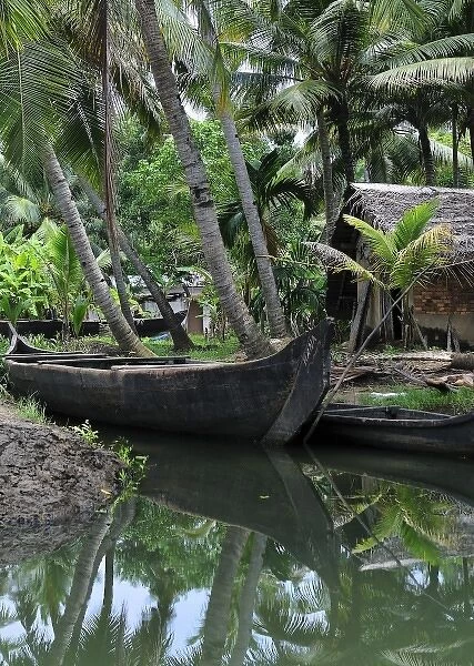 Asia, India, Kerala (Backwaters). A dugout canoe tied up alongside a Kerala Backwaters canal