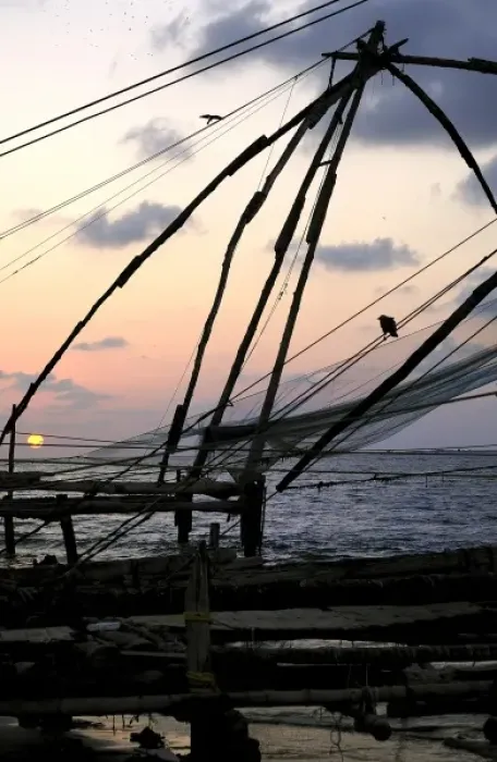 Framed Print : Asia, India, Kerala, Kochi (Cochin). A silhouette of a Chinese fishing net