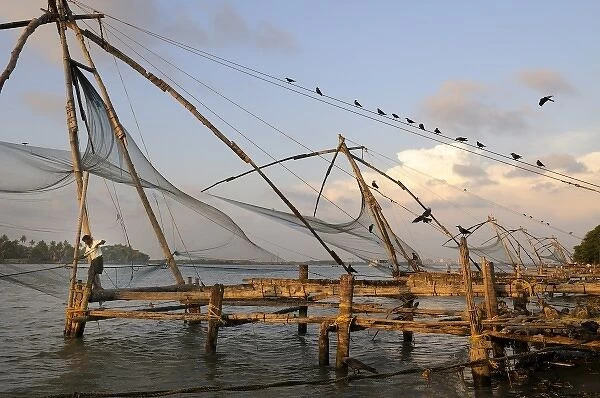Asia, India, Kerala, Kochi (Cochin). A row of Chinese fishing nets