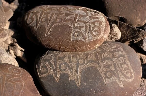 Asia, India, Ladakh. A close-up of finely-carved Mani stones in Ladakh, India, reveals