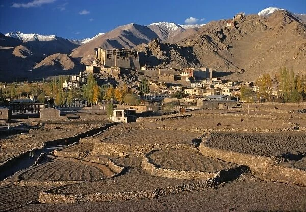 Asia, India, Ladakh, Leh. Leh, the main town in Ladakh, India, sit on a high plateau