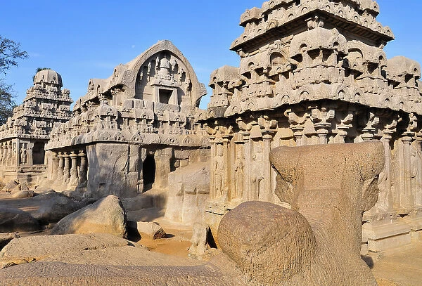 Asia, India, Tamil Nadu, Mahabalipuram. Part of the Five Rathas complex of temples