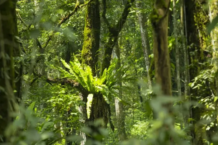 Framed Print : Asia, Indonesia, Bali. Eka Karya Botanic Garden, also known as Bali Botanic Garden Framed Print : Asia, Indonesia, Bali. Eka Karya Botanic Garden, also known as Bali Botanic Garden