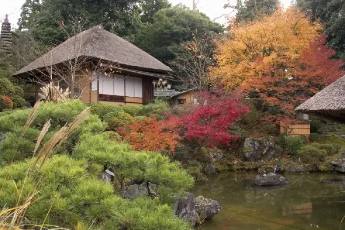 Framed Print : Asia, Japan