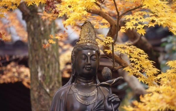Asia, Japan, Buddha