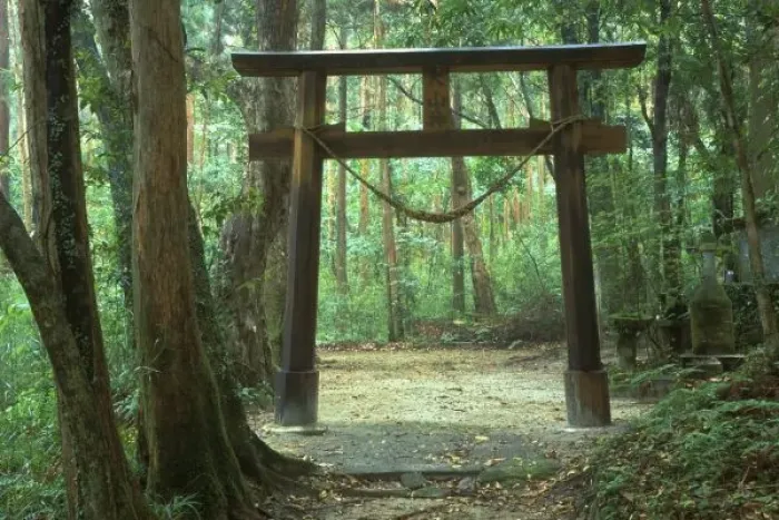 Framed Print : Asia, Japan, Kagoshima, Yakushima, Mountain Shrine Framed Print : Asia, Japan, Kagoshima, Yakushima, Mountain Shrine