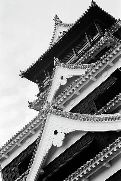 Asia, Japan, Kumamoto. Detail of the Kumamoto, jo Castle