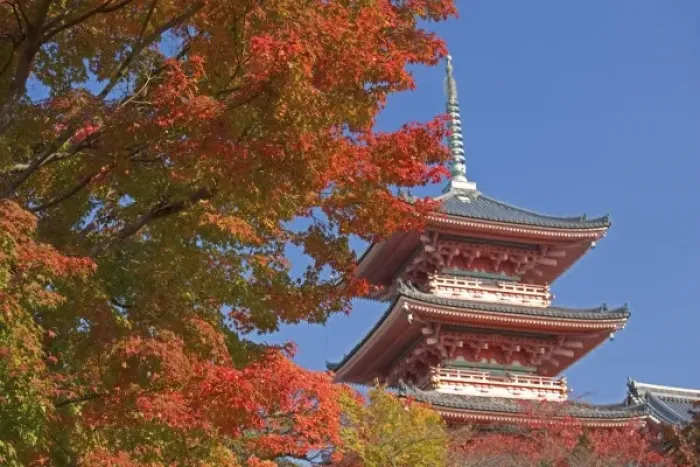 Framed Print : Asia, Japan, Kyoto, Autumn Colour Framed Print : Asia, Japan, Kyoto, Autumn Colour